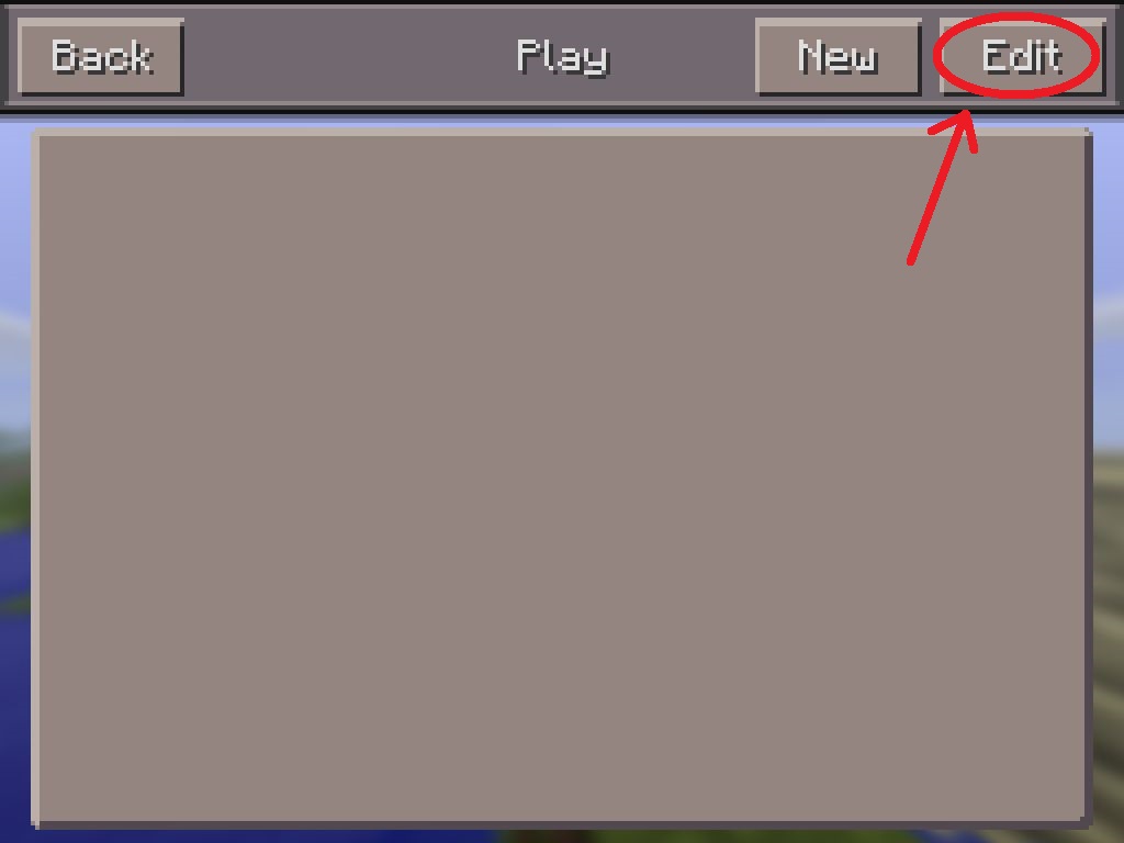 Configure Minecraft PE step 4
